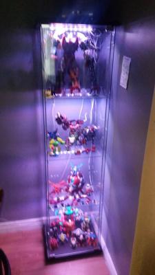 collect7.jpg