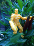 scorpion_garden_2014-08-27.png